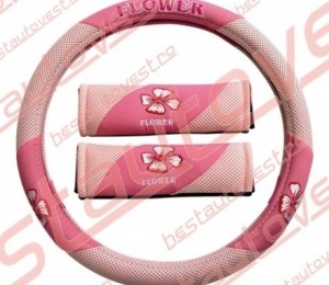 bestautovest.ro, 37 lei