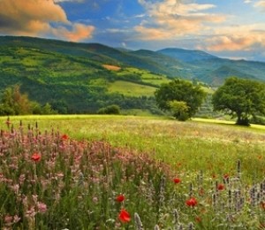 Valneria Preci, Italia