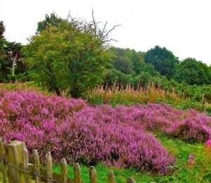 Hampstead Heath, Londra, Marea Britanie
