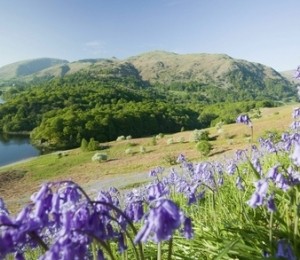 Grasmere, Marea Britanie