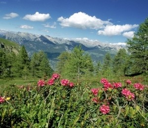Vanoise, Alpii francezi