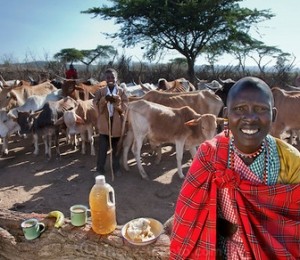 Noolkisaruni Tarakuai, a treia sotie a unui sef Maasai: 800 calorii