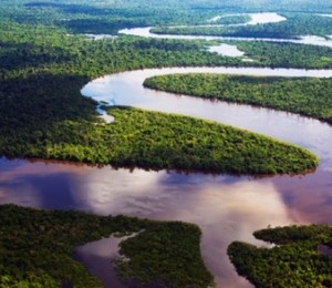 Padurea Amazoniana