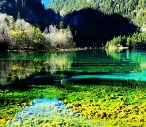 Padurea Juizhaigou, China