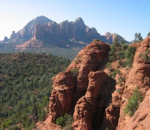 Padurea Coconino, SUA