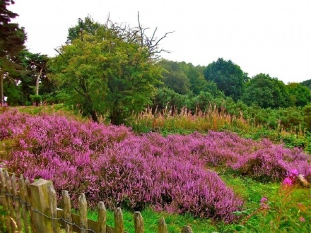 Hampstead Heath, Londra, Marea Britanie