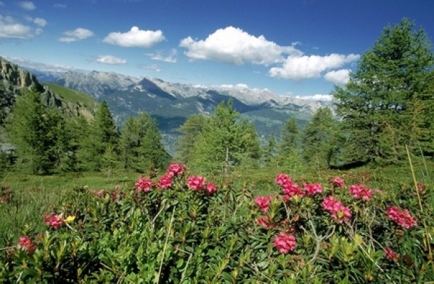 Vanoise, Alpii francezi