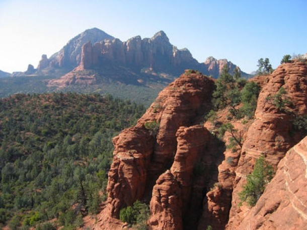 Padurea Coconino, SUA