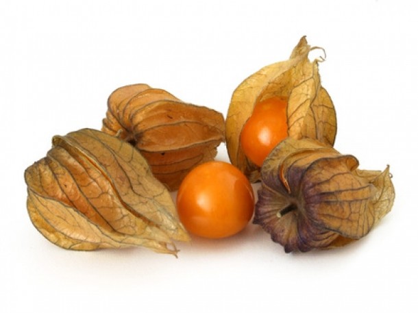Physalis