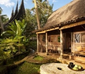 vedere a imprejurimilor