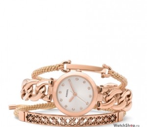 watchshop.ro, 669 lei