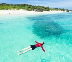 Insula Panari, Okinawa