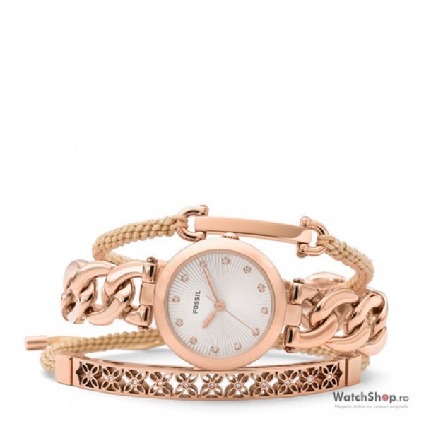 watchshop.ro, 669 lei