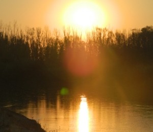 Arges, Bolintin Vale