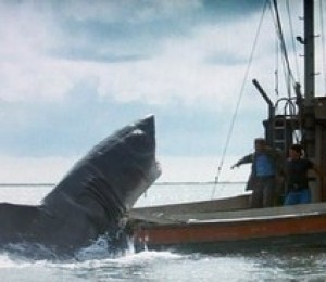 Jaws