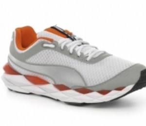 Zorilestore.ro, 231 lei