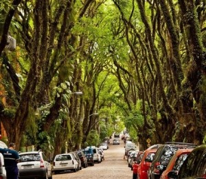 Strada Goncalo de Carvalho, Brazilia