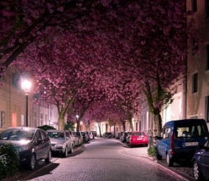 Herrastase, Bonn, Germania