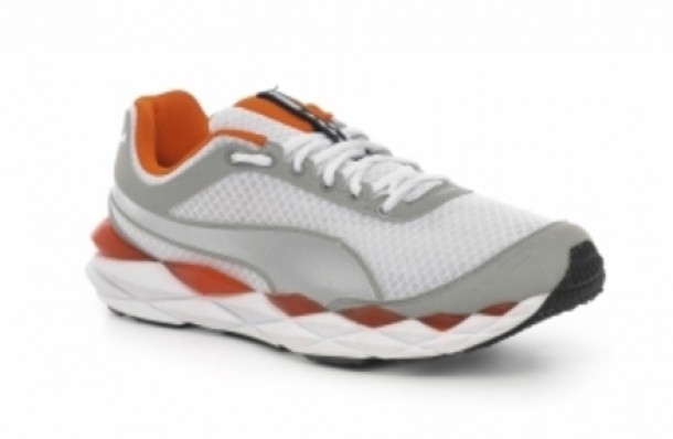 Zorilestore.ro, 231 lei