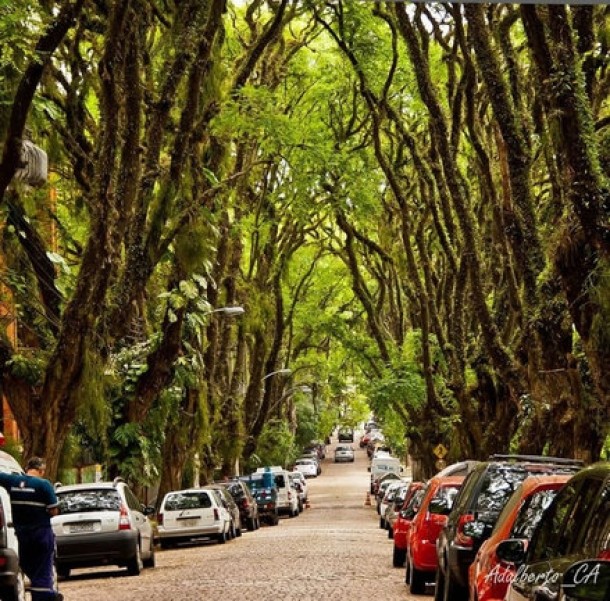 Strada Goncalo de Carvalho, Brazilia