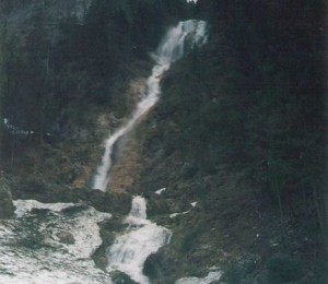 Cailor