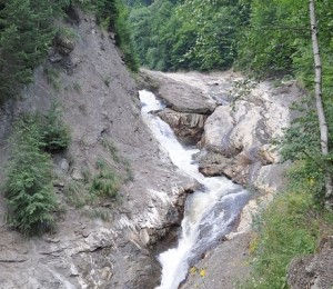 Putna