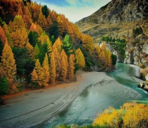 Otago, Noua Zeelanda