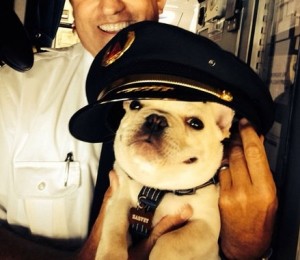 PILOTANDU-TI AVIONUL