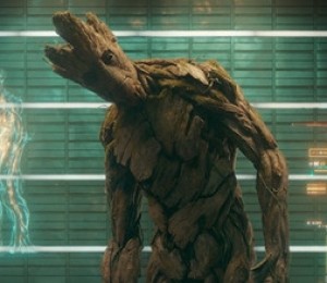 Groot