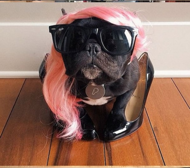 CU ACEASTA PERUCA FASHION