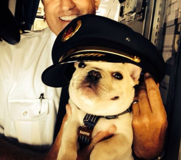 PILOTANDU-TI AVIONUL