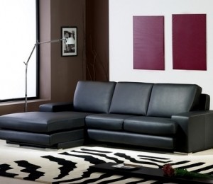 Canapeaua din piele neagra