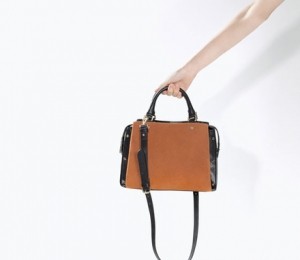 Zara, 229 lei