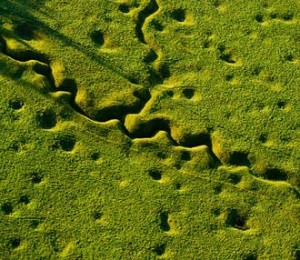 Parc Memorial Newfoundland, Beaumont Hamel, Franta