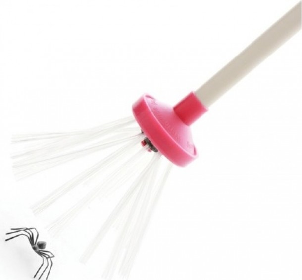 Paleta de prins paianjenii