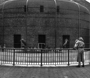 Gradina zoologica Staten Island