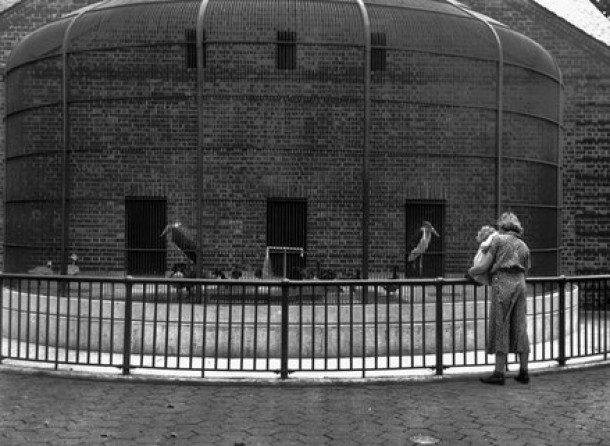 Gradina zoologica Staten Island