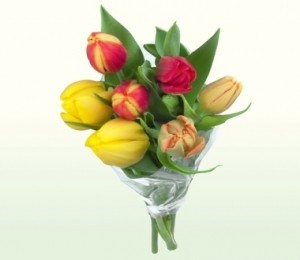 Buchet lalele, Lidl, 9,99/ buc