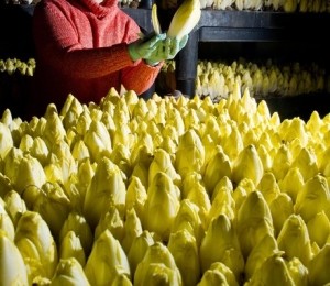 PATRICK PLEUL/AFP/Getty Images