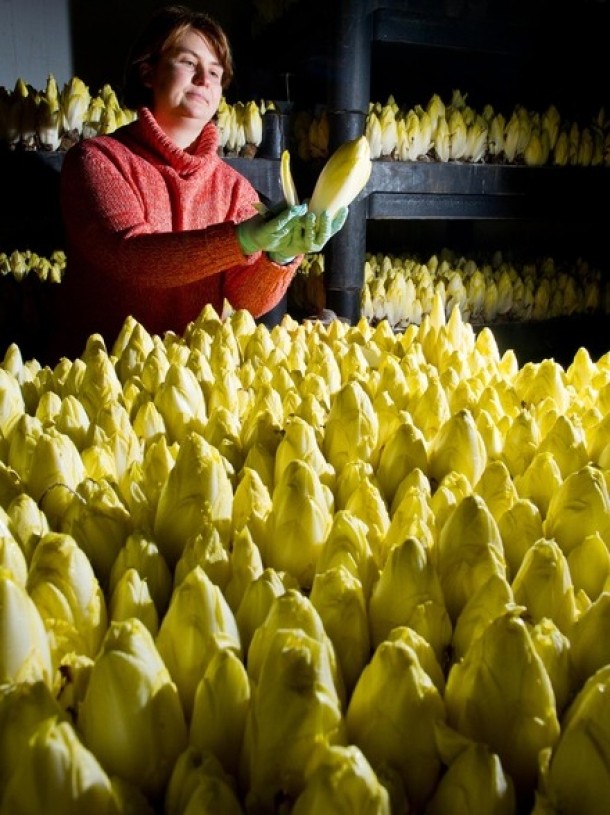 PATRICK PLEUL/AFP/Getty Images