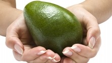 Avocado