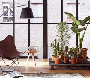 Suporturi pentru flori