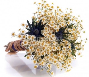 Buchet mireasă flori de muşeţel, floridelux.ro - 219.00 LEI