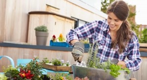 gradina in container