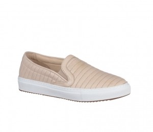 Stone Creek, 219 lei