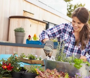 gradina in container