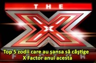 zodii X factor