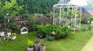 andreea marin gradina