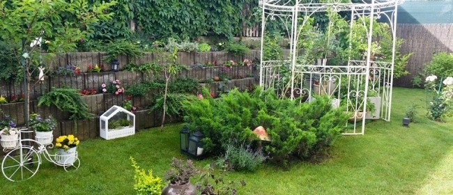 andreea marin gradina