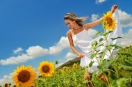 dieta seminte floarea soarelui